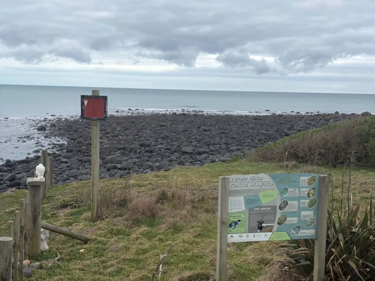 $1miriona+ hei whakaora i te tahatai me ngā kōkako o Taranaki