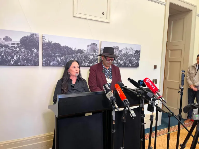 Tax-free threshold and wealth tax anchor Te Pāti Māori election policy