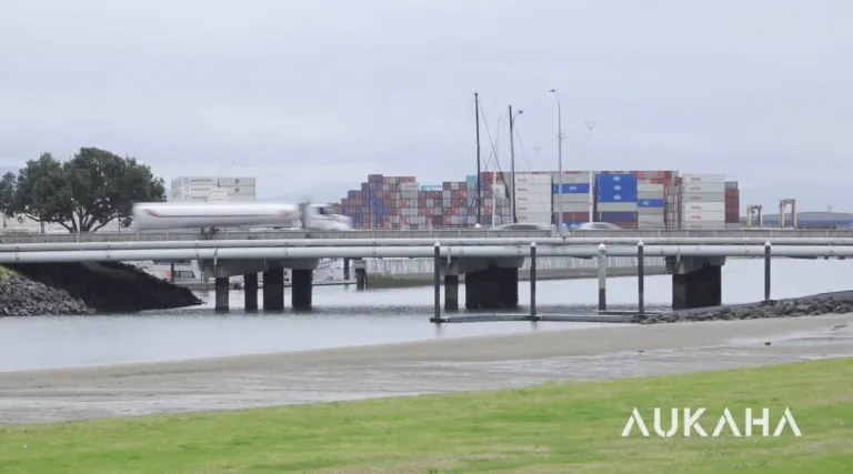 Port of Tauranga wins fast-track green light for major Stella Passage expansion
