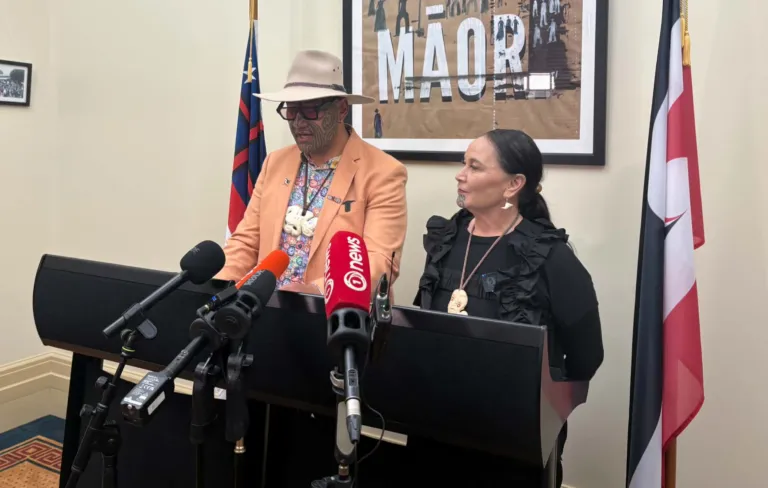 Te Pāti Māori proposes $1 billion fund to shift energy ownership