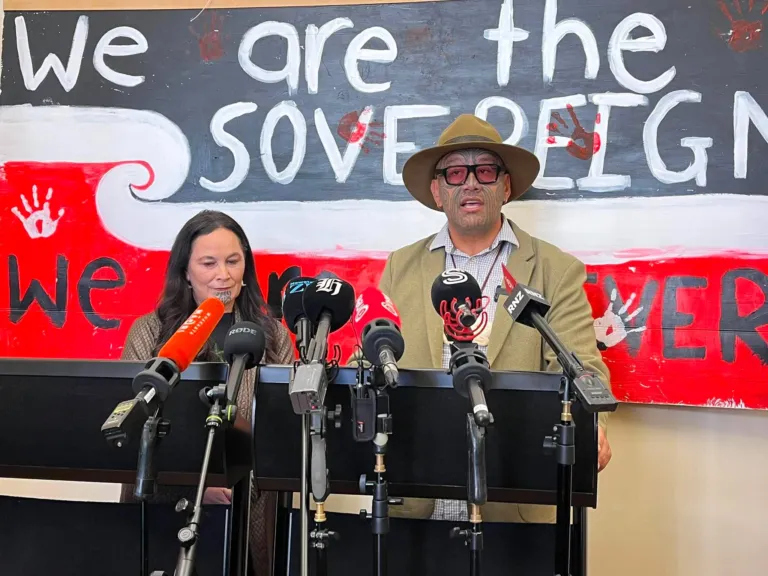 Te Pāti Māori proposes binding Tribunal powers in constitutional reform plan