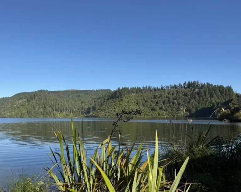 Body recovered at Lake Rotokākahi during homcide investigation; Rāhui imposed