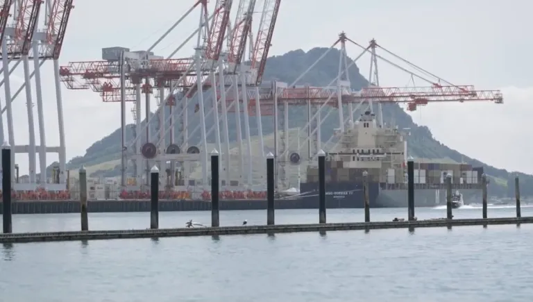 Port expansion approved despite continuing opposition from Tauranga Moana iwi and hapū