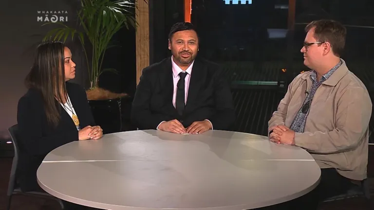 Te Tai Hauāuru: National’s Coral Raukawa makes pitch for votes but commentators not convinced