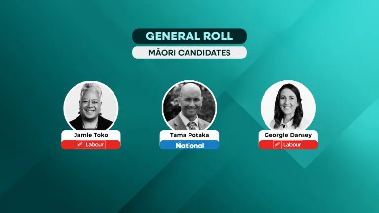 More than 34,000 Māori enrolled on general roll across seven Hauraki Waikato general seats