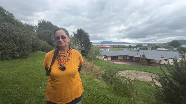 Rotorua Mayor backs Ruamata kura expansion despite airport opposition